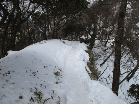 20170118hike (220)